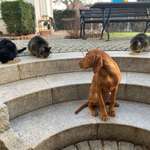 Ersteller:in Tobias Profilbild