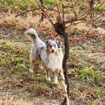 Ersteller:in Victoria Profilbild