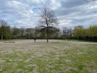 Hundeauslaufgebiet-Im Landschaftspark-Bild