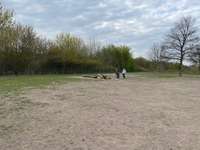 Hundeauslaufgebiet-Im Landschaftspark-Bild