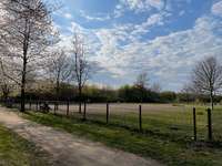 Hundeauslaufgebiet-Im Landschaftspark-Bild