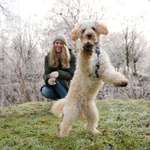 Ersteller:in Kerstin Profilbild