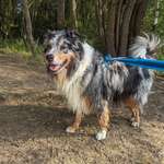 Ersteller:in Mona Profilbild