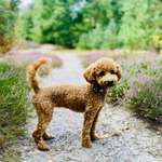 Ersteller:in Karina Profilbild