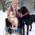 Ersteller:in Sarah Profilbild