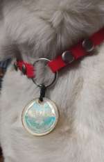 Weißes Fell - Tipps gegen "Metallspuren"-Beitrag-Bild