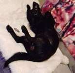 Lustige Grimassen & verrückte Posen-Beitrag-Bild