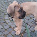 Ersteller:in Corinna Profilbild