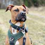 Ersteller:in Robin Profilbild