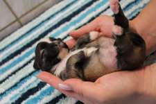 Ersteller:in Tom Profilbild