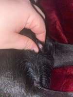 Schwellung verändert sich ständig-Beitrag-Bild