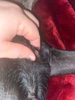 Schwellung verändert sich ständig-Beitrag-Bild