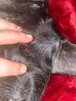 Schwellung verändert sich ständig-Beitrag-Bild