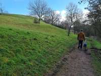 Hundeauslaufgebiet-Maudacher Bruch-Bild