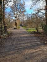 Hundeauslaufgebiet-Maudacher Bruch-Bild