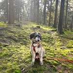 Ersteller:in Svenja Profilbild