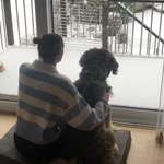 Ersteller:in Svenja Profilbild