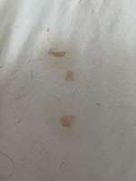 Hund verliert nachts braune Flüssigkeit aus dem Mund, hustet und keucht nach jedem Schluck-Beitrag-Bild