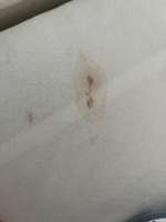 Hund verliert nachts braune Flüssigkeit aus dem Mund, hustet und keucht nach jedem Schluck-Beitrag-Bild