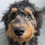 Ersteller:in Vanessa Profilbild