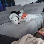 Ersteller:in Dirk Profilbild