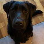 Ersteller:in Anne Profilbild