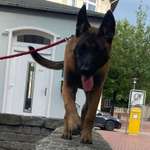 Ersteller:in Ludmila Profilbild