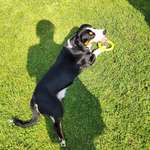 Ersteller:in Katja Profilbild