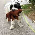 Ersteller:in Helena Profilbild