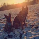 Ersteller:in Vivian Profilbild