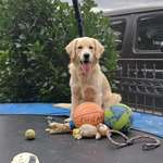 Ersteller:in Elena Profilbild