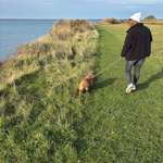 Ersteller:in Chantal Profilbild