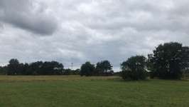 Hundeauslaufgebiet-Hundewiese in Mühlheim-Bild