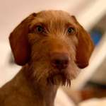 Ersteller:in Saskia Profilbild