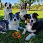 Ersteller:in Eka Profilbild