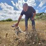 Ersteller:in Paul Profilbild