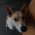 Ersteller:in Annika Profilbild