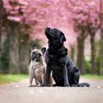 Ersteller:in Jessica Profilbild