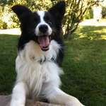 Ersteller:in Claudia Profilbild