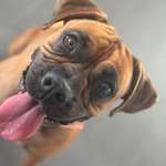 Ersteller:in Michelle Profilbild