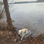 Ersteller:in Melanie Profilbild