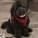 Ersteller:in Jana Profilbild