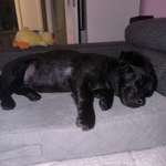 Ersteller:in Sandra Profilbild