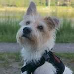 Ersteller:in Lina Profilbild