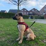 Ersteller:in Danny Profilbild