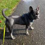 Ersteller:in Rebecca Profilbild