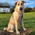 Ersteller:in Vanessa Profilbild