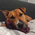 Ersteller:in Laura Profilbild