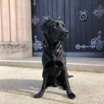 Ersteller:in Sabine Profilbild