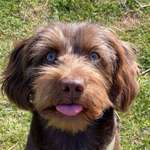 Ersteller:in Sandra Profilbild